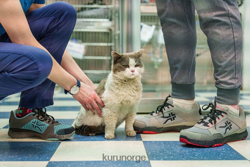 nei Kuru kvinner kvante sko urban betong/hvit/topasblå 8ZL4T431